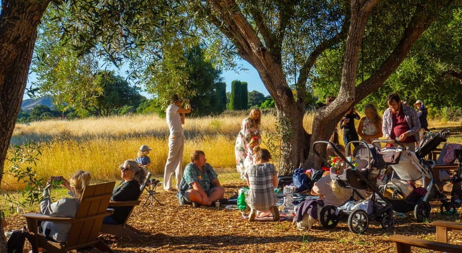 Woodside: Filoli Historic House and Garden Entry Ticket - Key points to know before you go