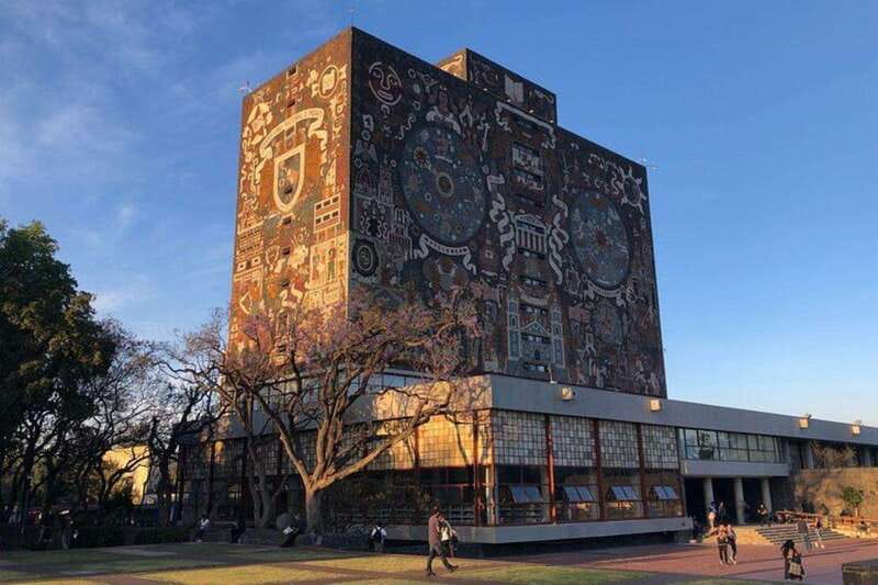 Xochimilco floating gardens, Coyoacan and UNAM murals - What the $49 price really buys you