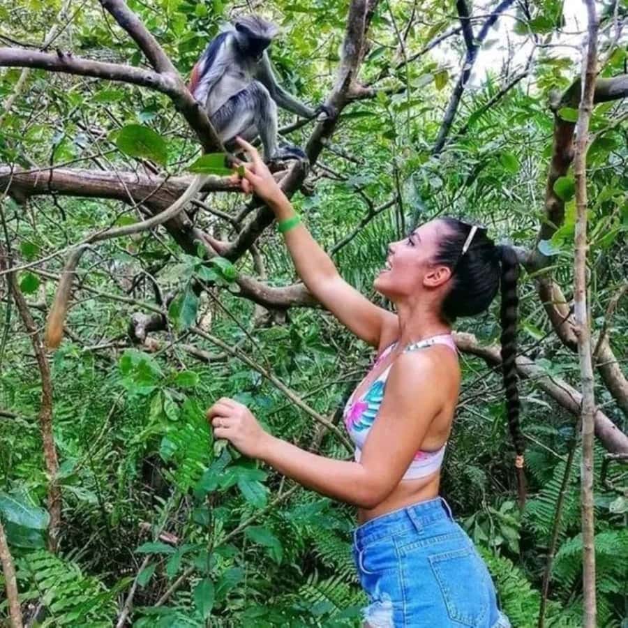 Zanzibar: Jozani Monkeys, Butterfly Garden & Reptile Park - Why Jozani makes a strong first stop