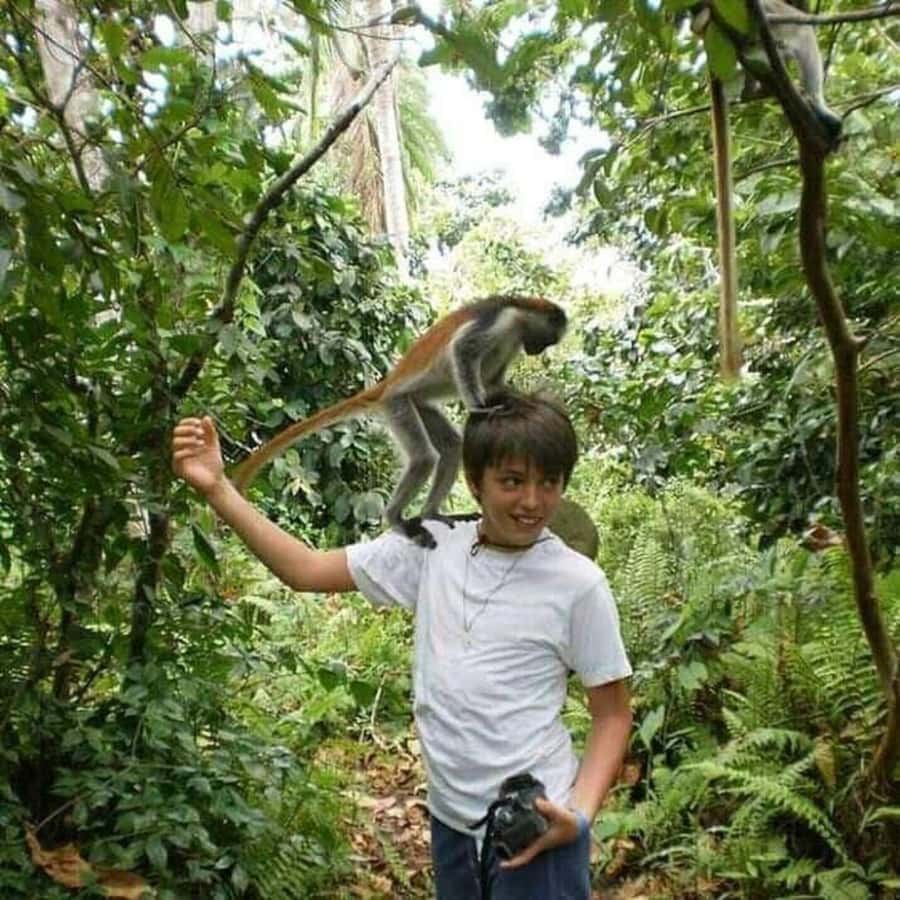 Zanzibar: Jozani Monkeys, Butterfly Garden & Reptile Park - Chameleons, snakes, and tortoises at the Reptile Park