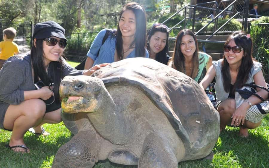 Zanzibar: Jozani Monkeys, Butterfly Garden & Reptile Park - Who will enjoy this tour most?